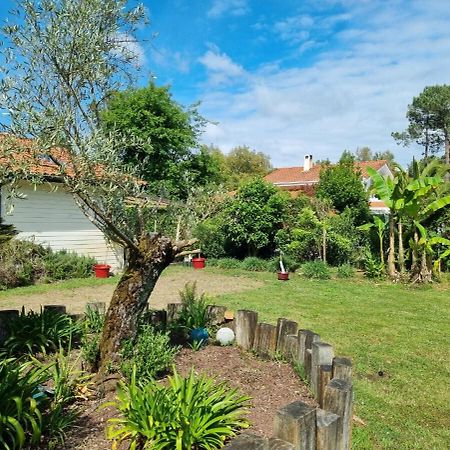 House With Heated Pool And Jacuzzi Villa Soorts-Hossegor Dış mekan fotoğraf